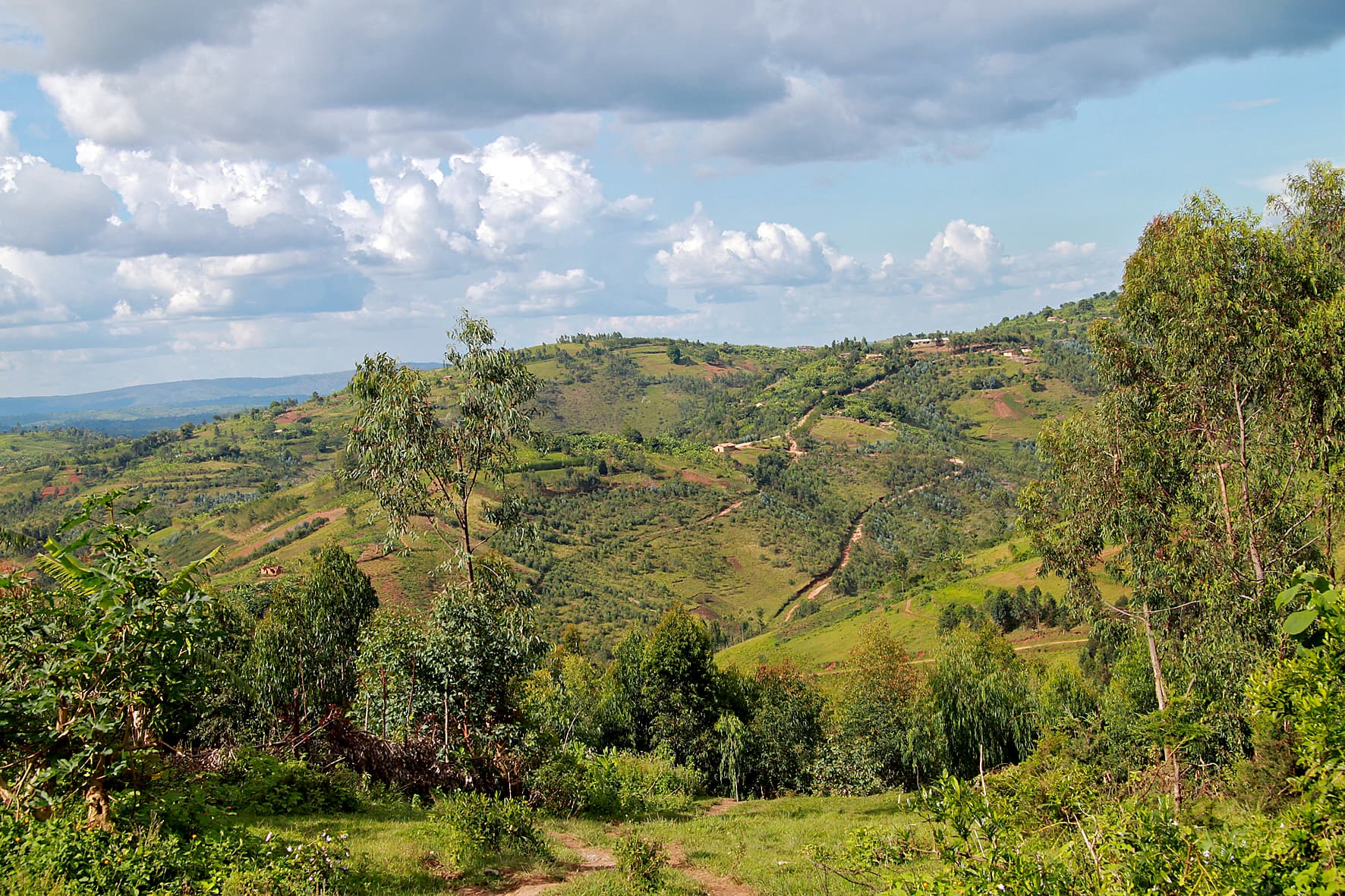 Hillside landscape in Banga, Burundi.
