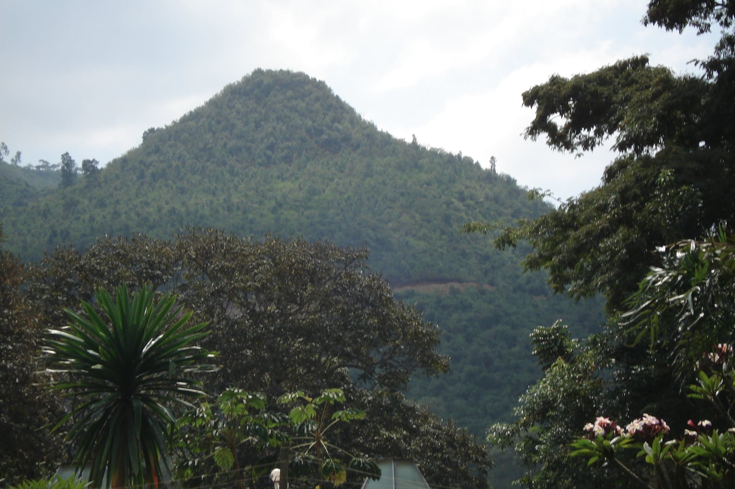 A forested mountain seen from Wondo Genet, Sidama, Ethiopia.