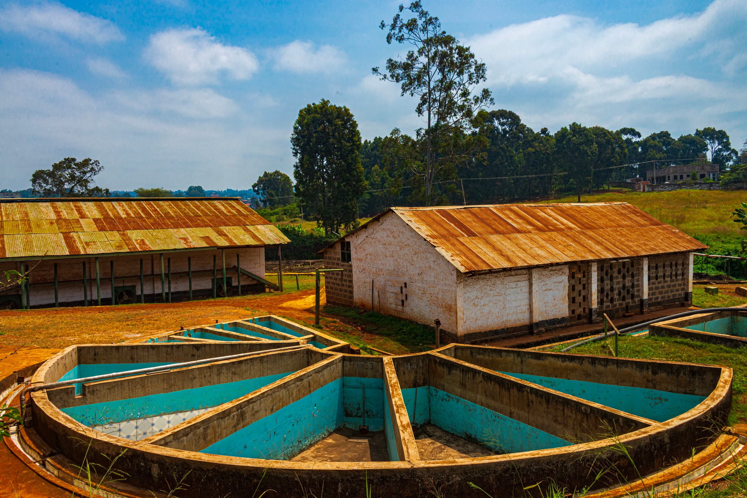 Inactive coffee washing pits at Fairview Estate in Kiambu, Kenya.