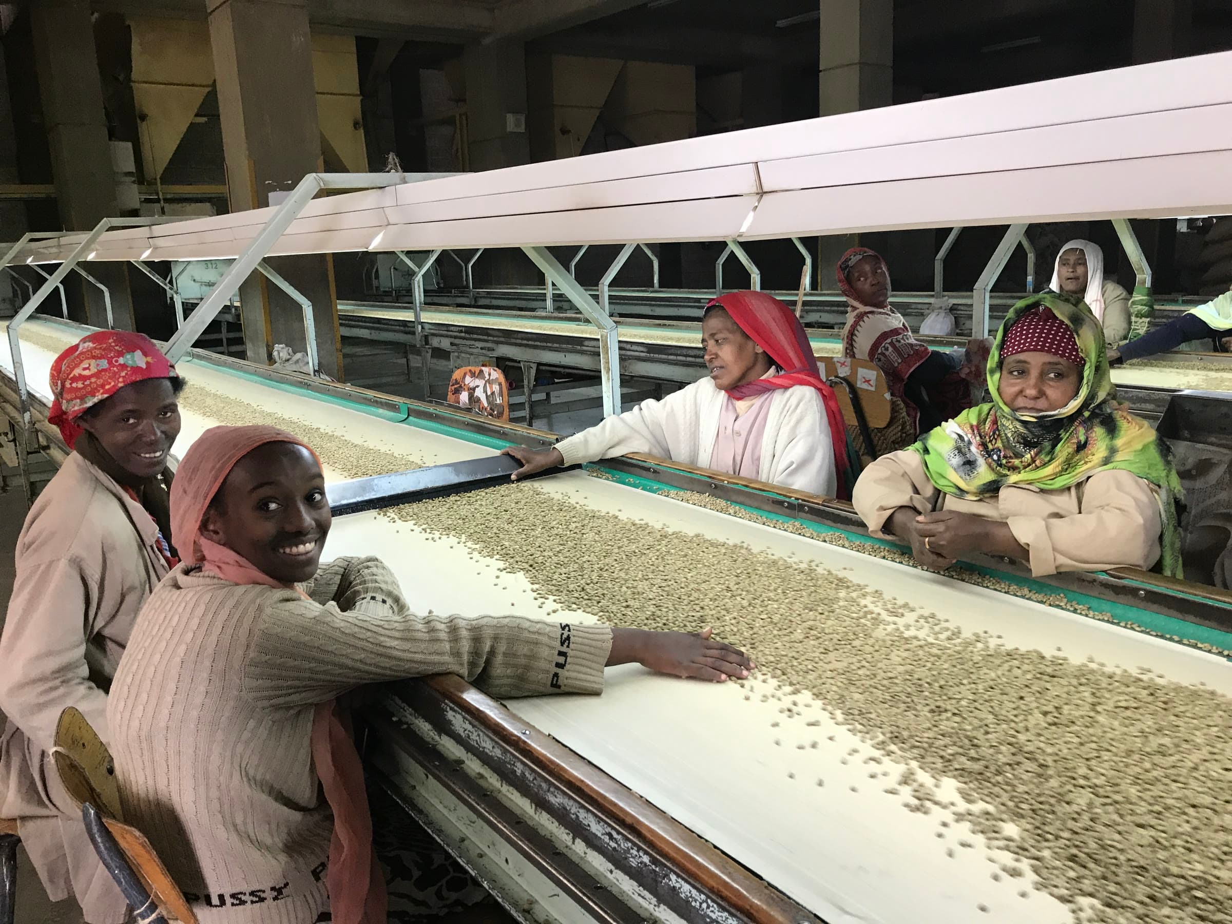 Women checking coffee in Addis Ababa, Ethiopia.